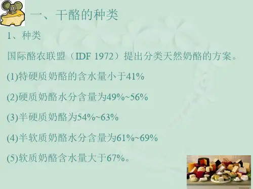 干酪的制作工艺