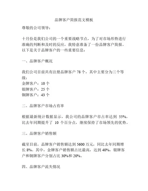 品牌客户简报范文模板