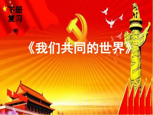 部编版九下道法第1单元复习  优秀课件