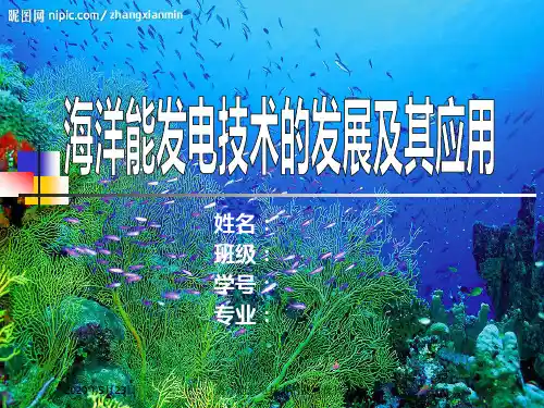 电气文献作业海洋能源发展及其应用