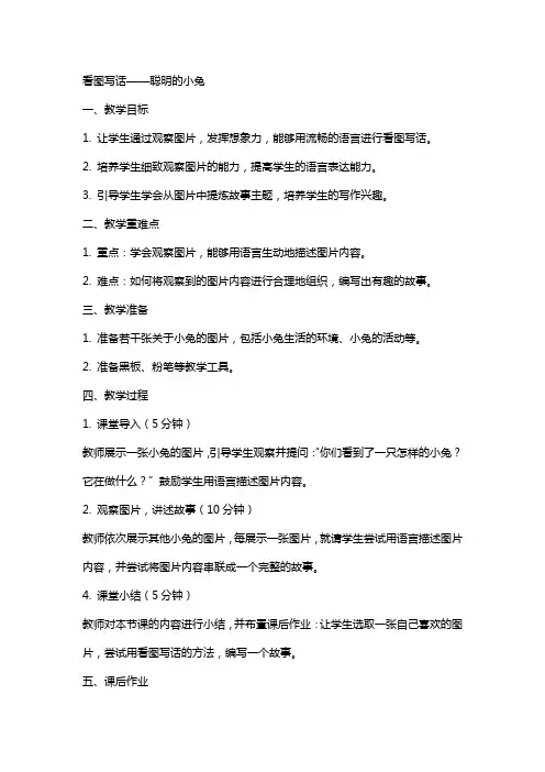 看图写话聪明的小兔教案