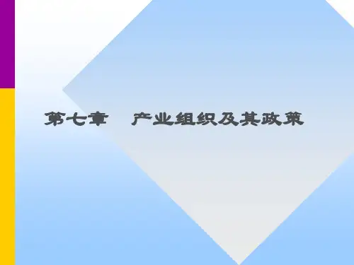 60现代经济学通论 洪银兴 (7)
