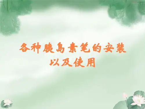 各种胰岛素笔的安装以及使用