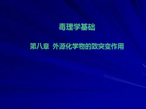 第八章外源化学物致突变作用ppt课件