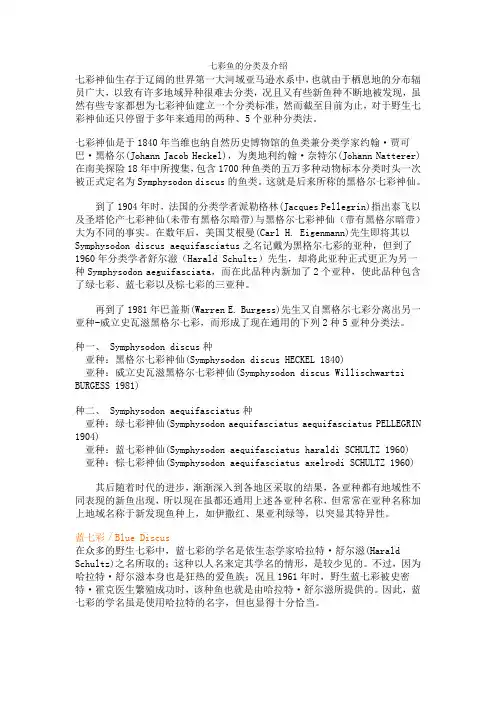 七彩鱼的分类及介绍