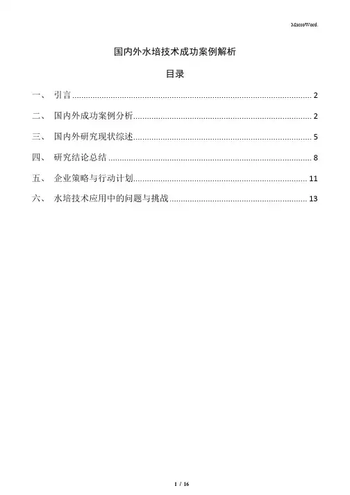 国内外水培技术成功案例解析