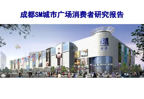 成都城市广场消费者研究报告
