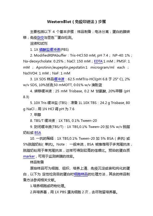 WesternBlot（免疫印迹法）步骤