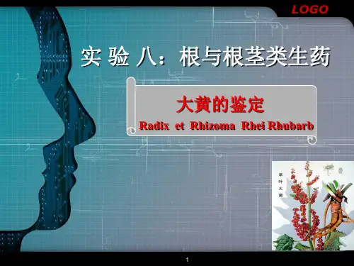 大黄的鉴定(实验)PPT课件