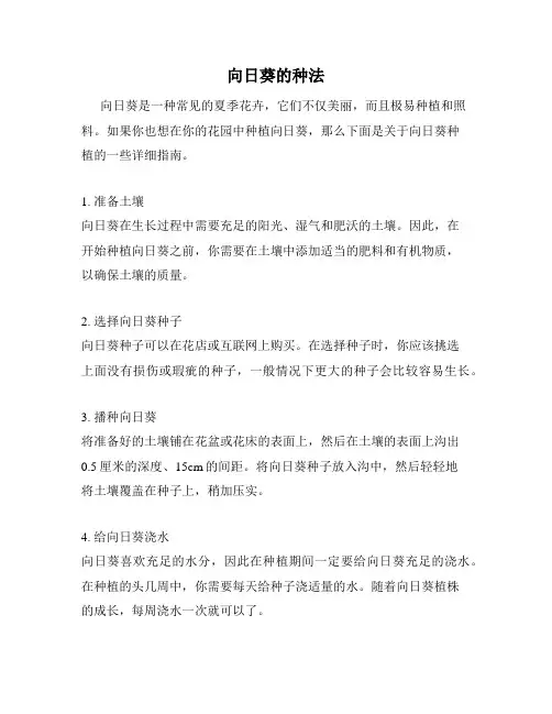 向日葵的种法