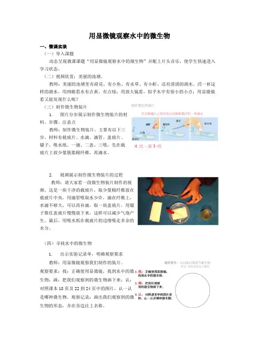 用显微镜观察水中的微生物