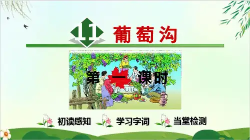 (部编版教材)二年级上册《葡萄沟》PPT经典课件