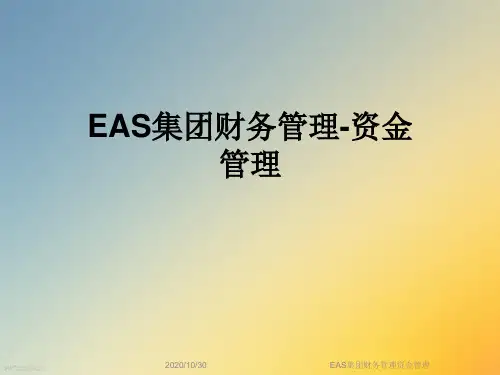 EAS集团财务管理资金管理