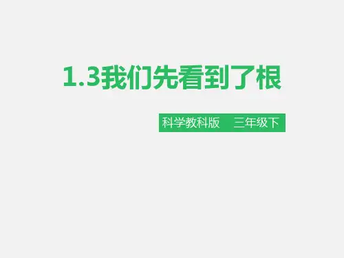 《我们先看到了根》植物的生长变化教科三年级科学下册PPT课件