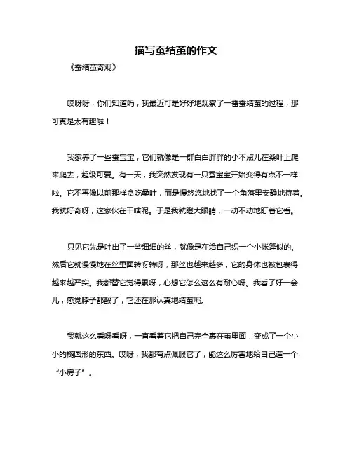描写蚕结茧的作文