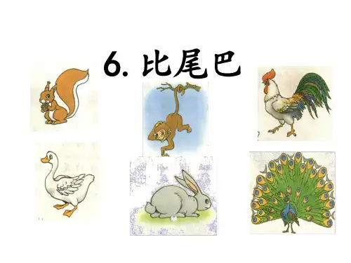 部编版语文课件《比尾巴》PPT教研课件1