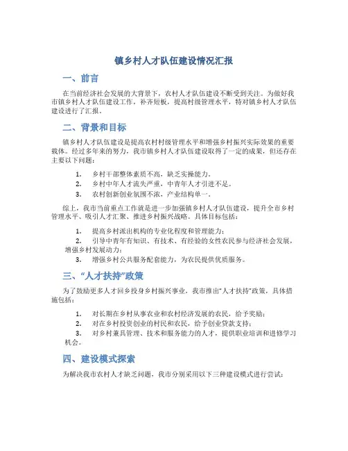 镇乡村人才队伍建设情况总结汇报