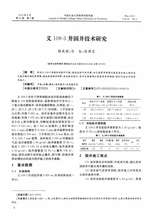义109-3井固井技术研究