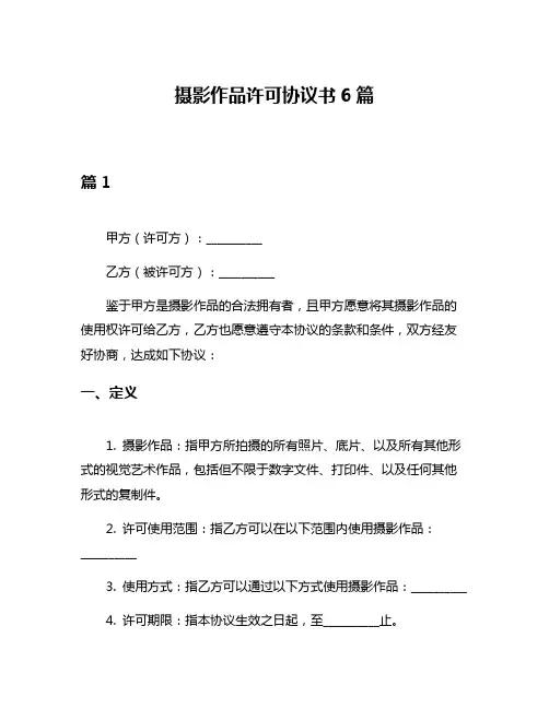 摄影作品许可协议书6篇