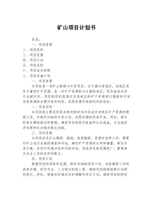 矿山项目计划书