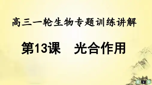 高中生物专题训练讲解13：光合作用