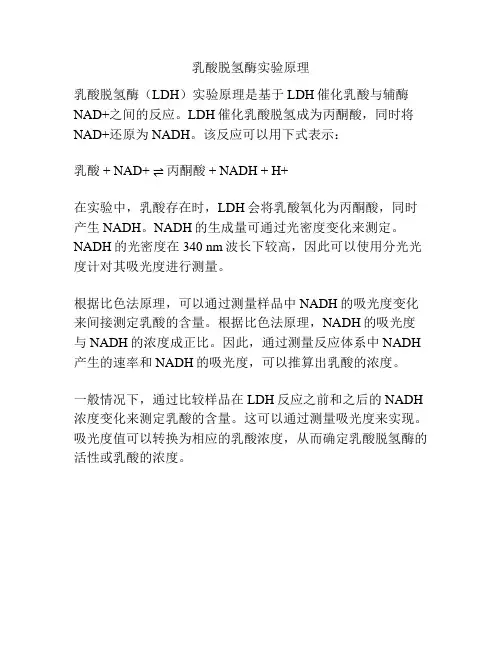 乳酸脱氢酶实验原理
