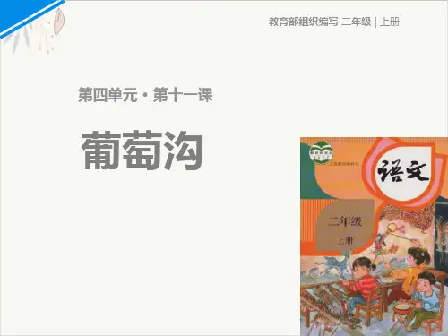 葡萄沟ppt课件(完美版)