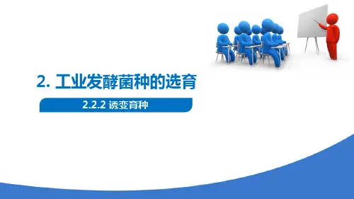 发酵工业菌种选育 诱变育种