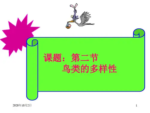 鸟类的多样性PPT课件