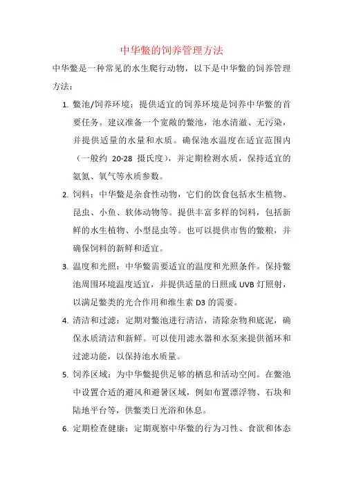 中华鳖的饲养管理方法