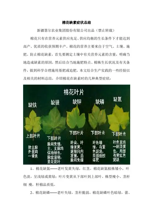 棉花缺素症状总结-20160620