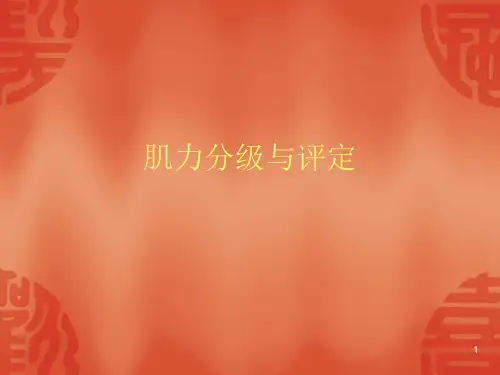肌力分级与评定ppt课件