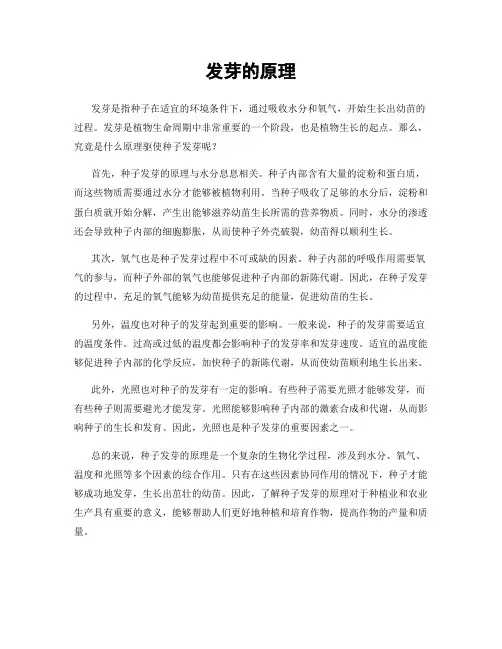 发芽的原理
