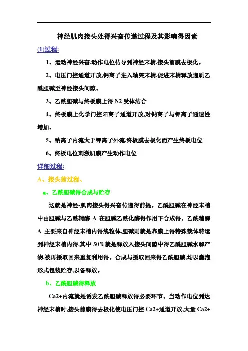 神经肌肉接头处的兴奋传递过程及其影响因素