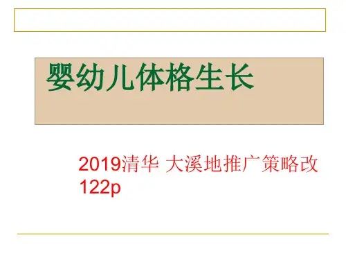 2019清华 大溪地推广策略改 122p