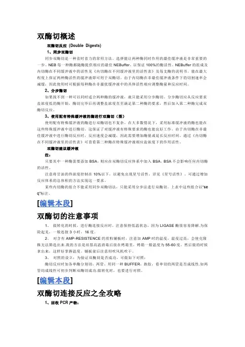双酶切实验