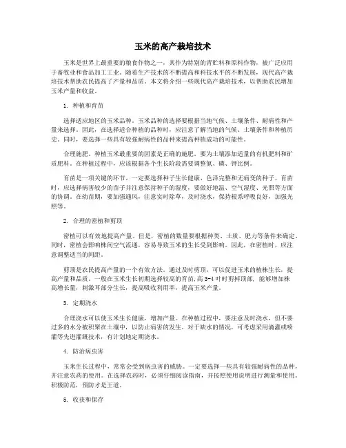玉米的高产栽培技术
