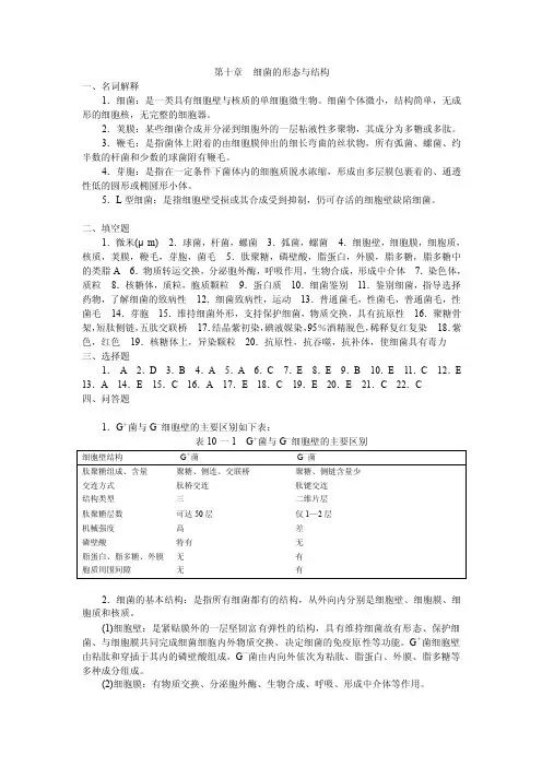 细菌的形态与结构