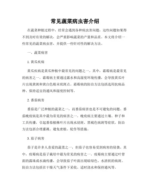 常见蔬菜病虫害介绍