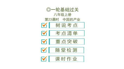 湖南省株洲市中考地理一轮复习(课件、精练,含2019真题精选)第13单元中国的产业