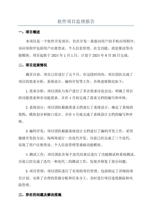 软件项目监理报告
