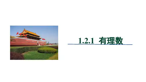 数学七年级上册1.2.1有理数(共19张PPT)