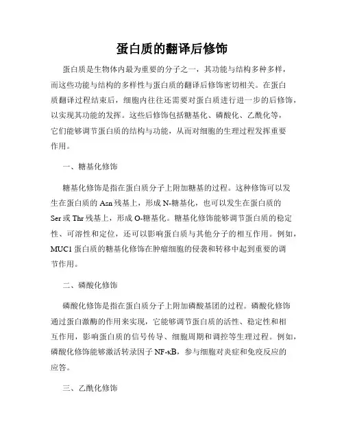 蛋白质的翻译后修饰