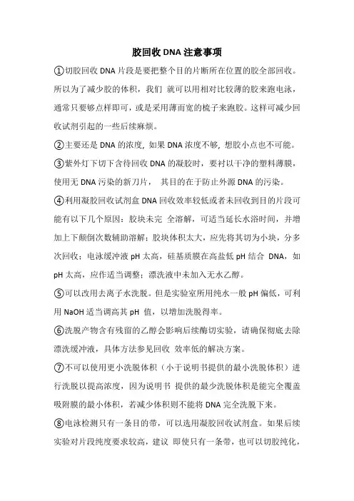胶回收DNA注意事项