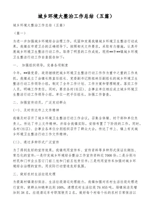 城乡环境大整治工作总结(五篇)