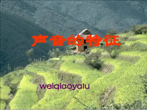 初中物理  声音的特征 苏科版优秀课件