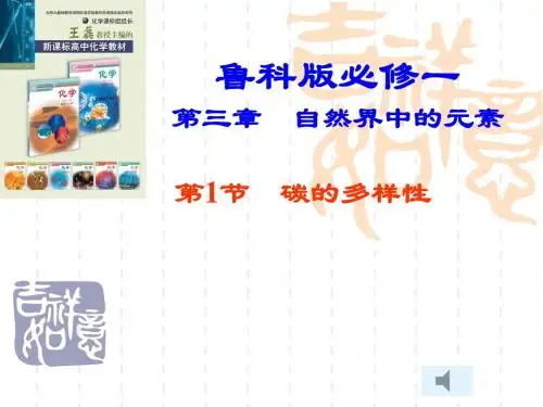 鲁科版高中化学必修一《碳的多样性》课件
