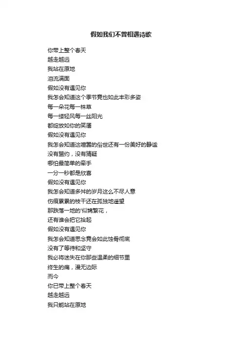 假如我们不曾相遇诗歌