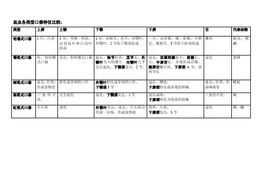 口器类型
