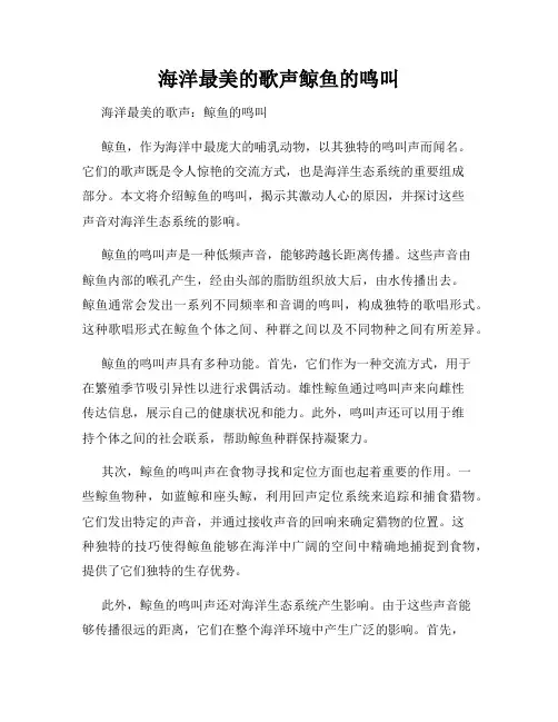 海洋最美的歌声鲸鱼的鸣叫